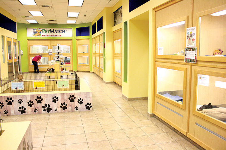 PetMatch